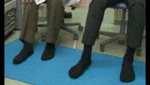20160329viv1.gif