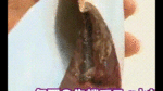 ns20170607_2.gif
